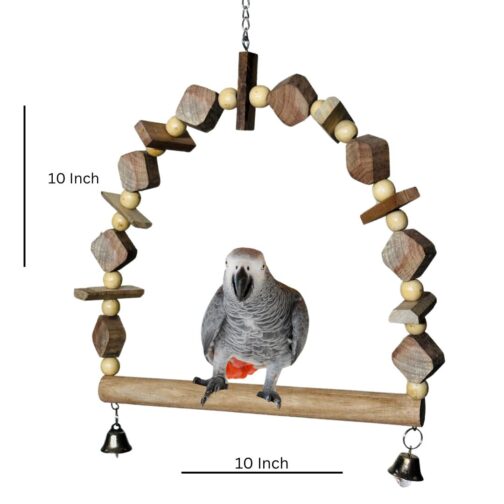 Bird Swings