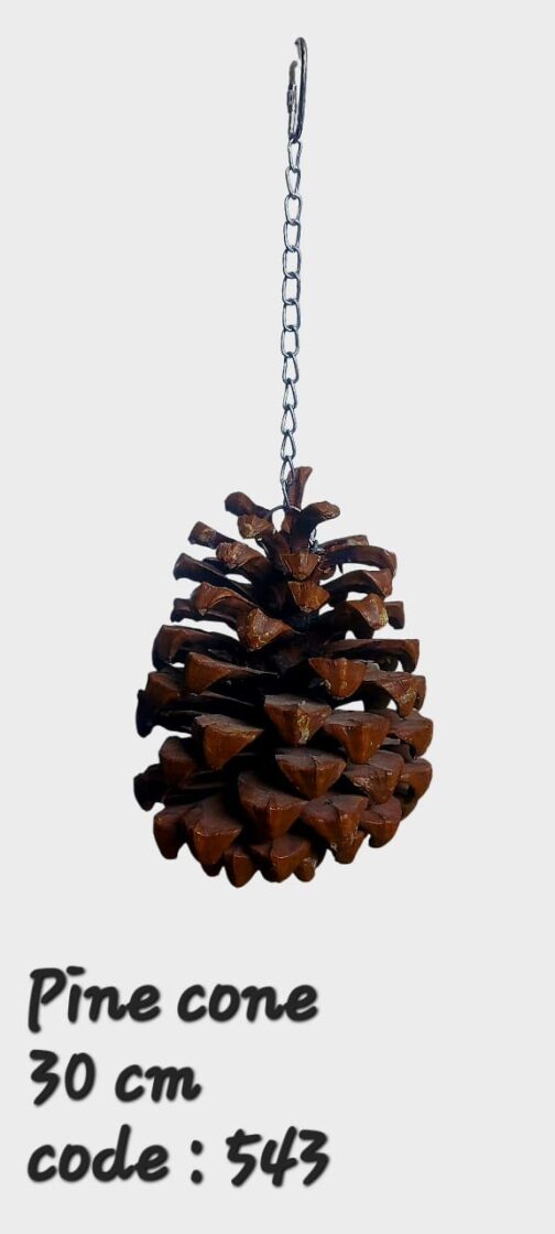 Pine Cone