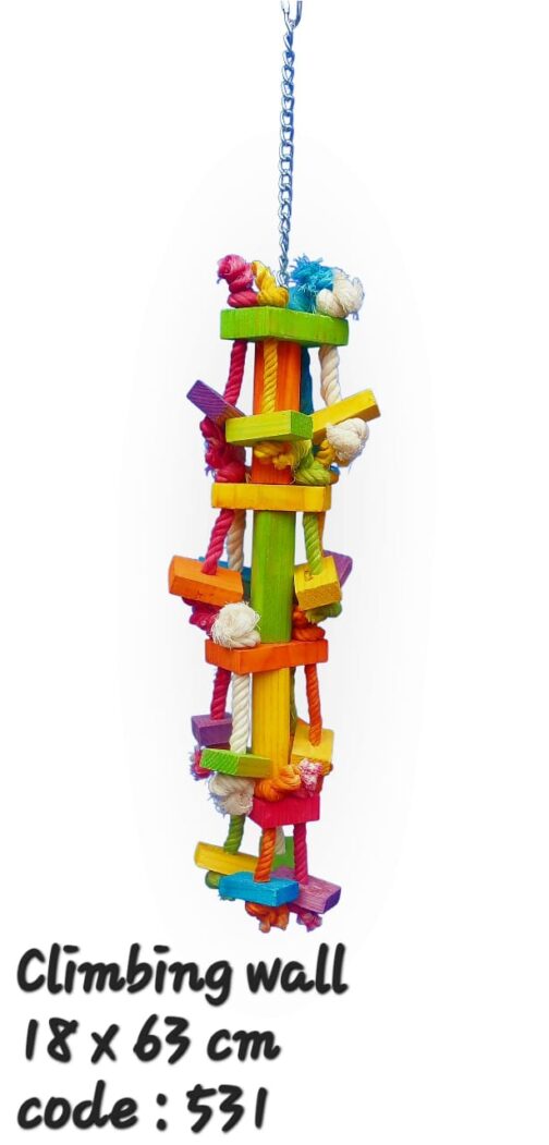 Climbing Wall