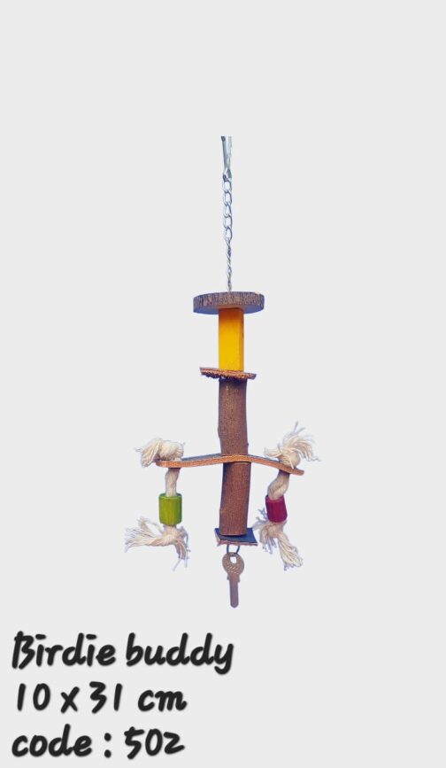 Birdie Buddy