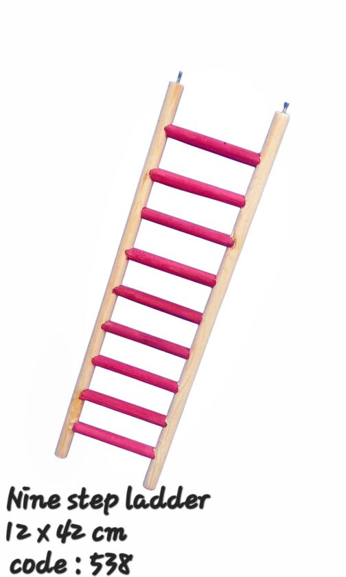 Step Ladder for Birds