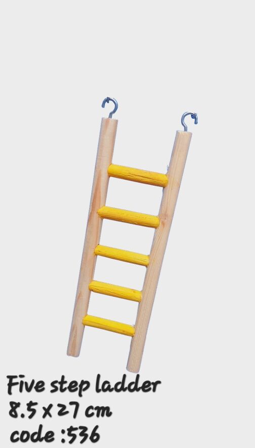 Step Ladder for Birds - Image 3