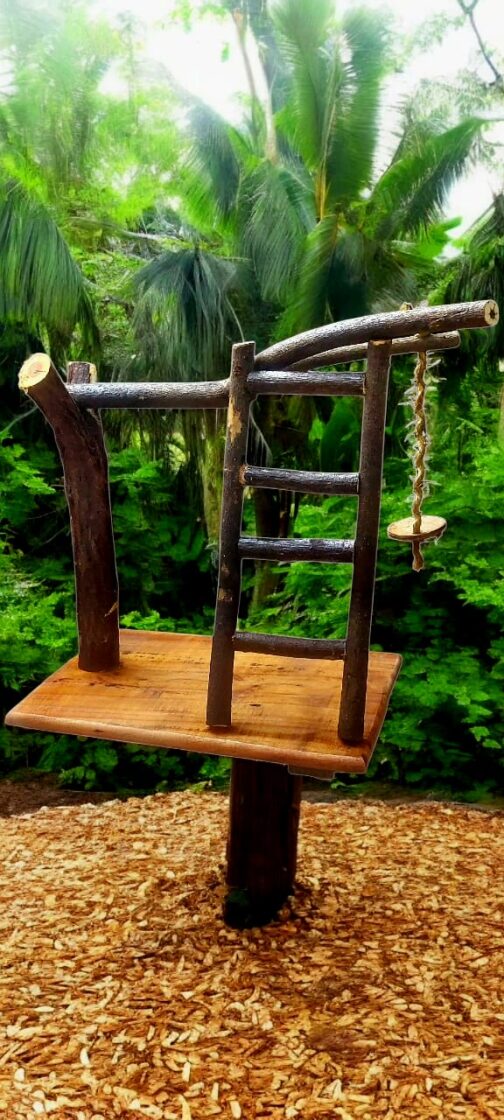 Bird Stand - Image 2