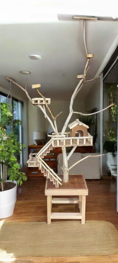 Bird Stand - Image 3