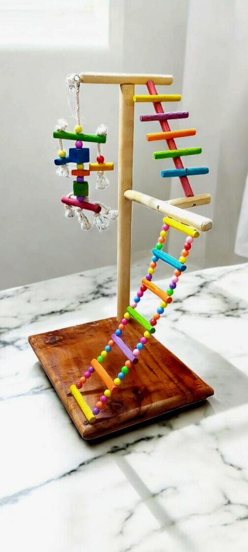 Bird Stand