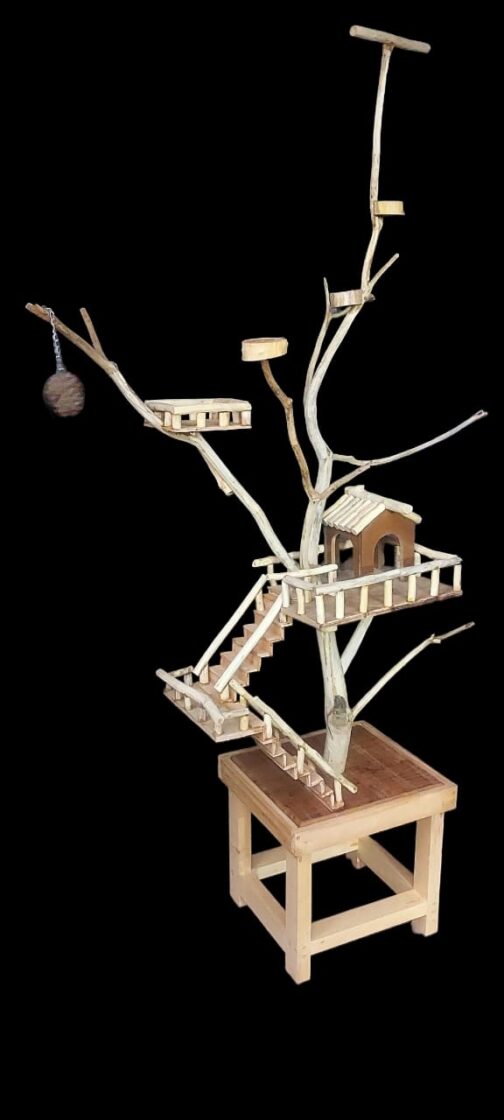 Bird Stand
