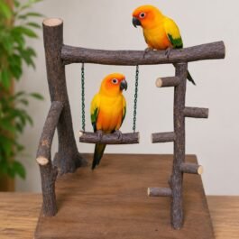 bird tree stand