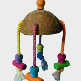 Coconut carousel